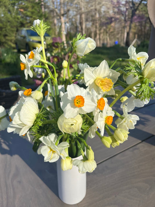 Spring Premium Bouquets – 7-Week Subscription
