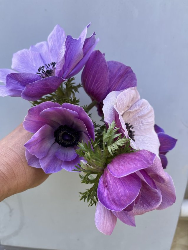 Spring Petite Bouquets – 7-Week Subscription