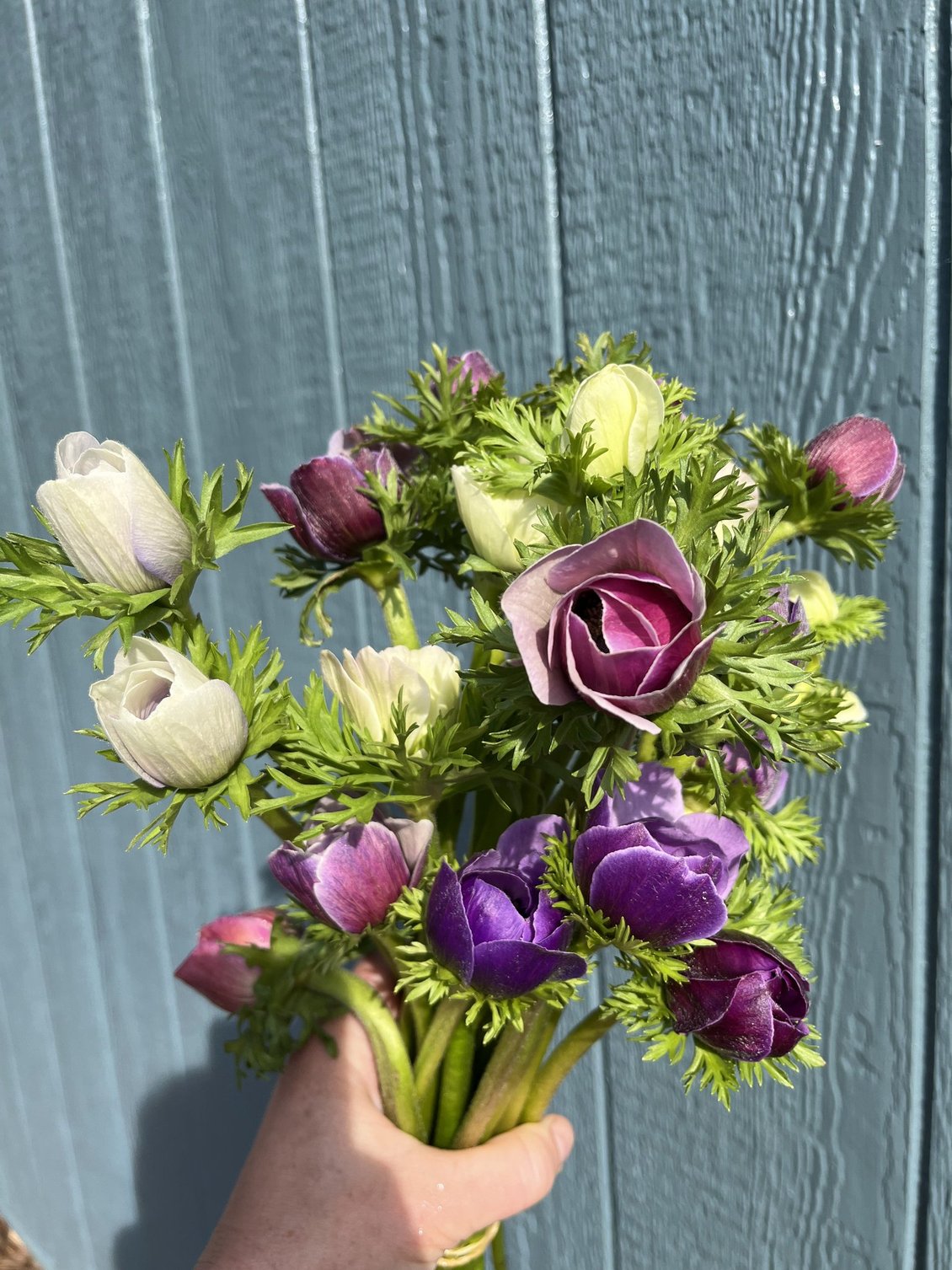 Spring Premium Bouquets – 7-Week Subscription