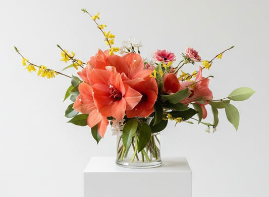 Peach Marmelade - Medium