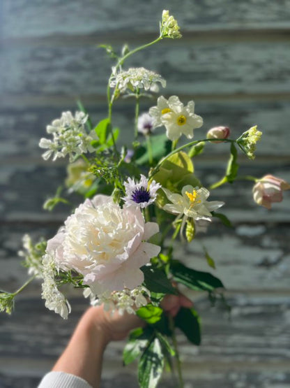 Week 6 Example: Peony, orlaya, hellebore, etc.