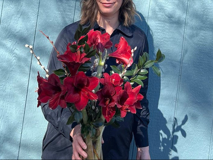 Red Amaryllis vased arrangement