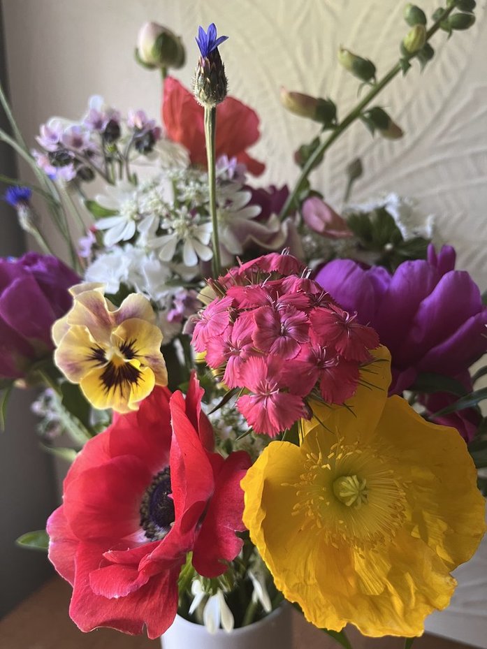 Bouquet of colorful flowers including pansies and poppies on a neutral background