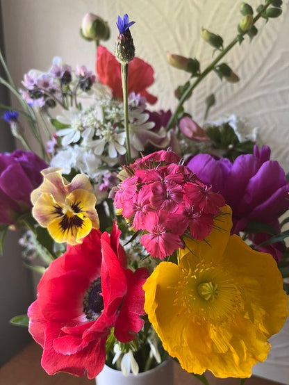 Bouquet of colorful flowers including pansies and poppies on a neutral background