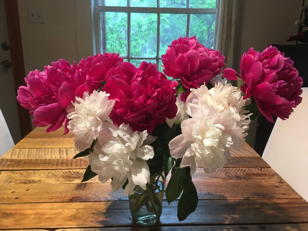 Bouquet Subscription | Abundant | 7 Weeks - March - April