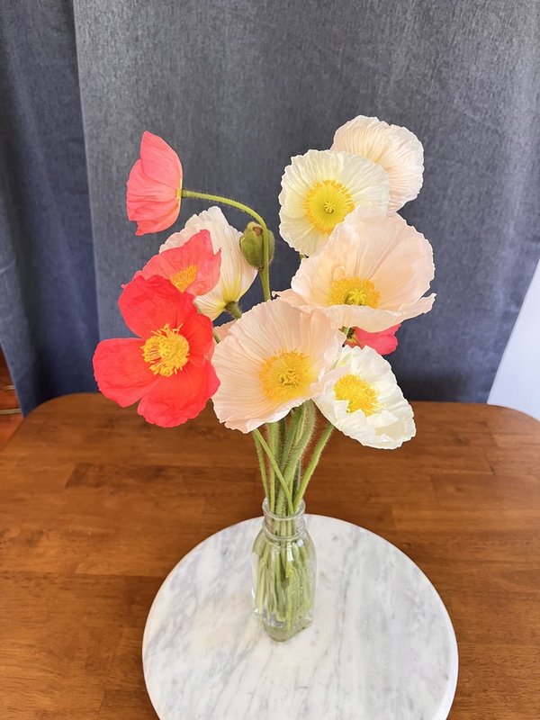 Bouquet Subscription | Abundant | 7 Weeks - March - April