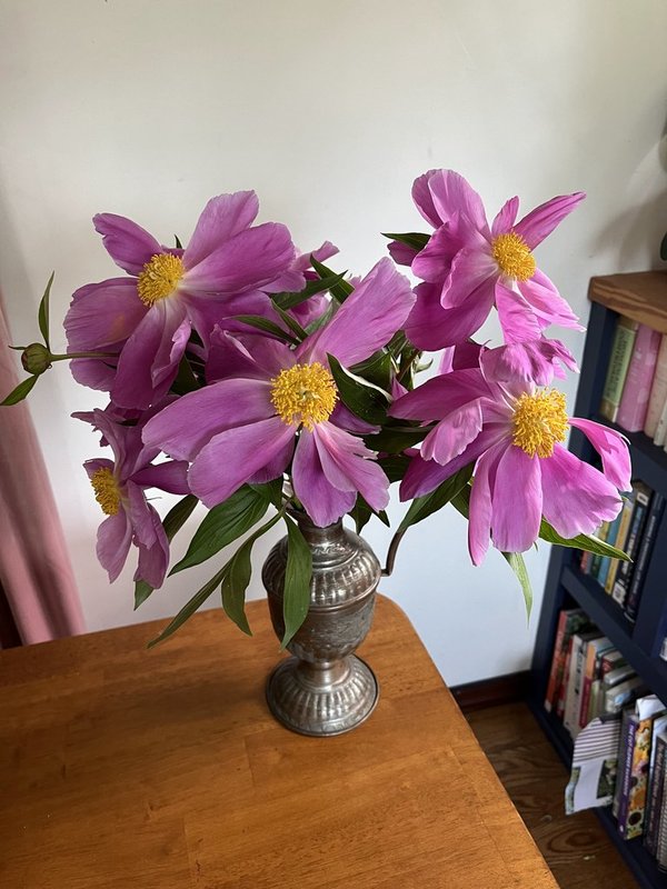 Bouquet Subscription | Abundant | 7 Weeks - March - April